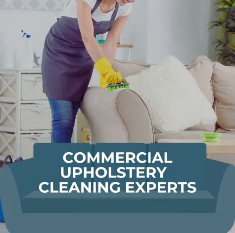 Expert Commercial Upholstery Cleaning Services 